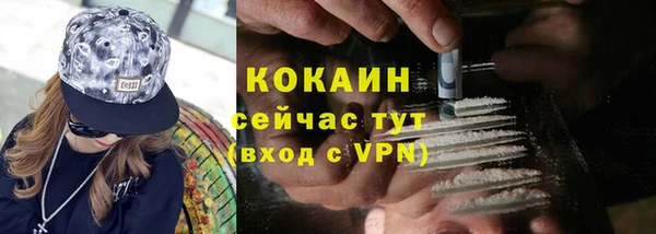 амф Верхний Тагил