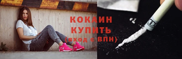 амф Верхний Тагил