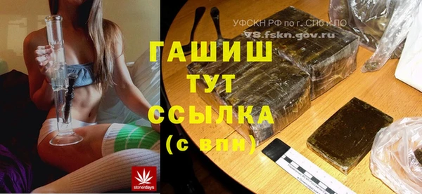 амф Верхний Тагил