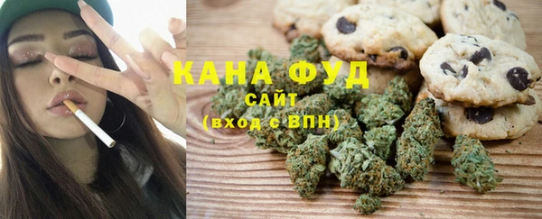 амф Верхний Тагил
