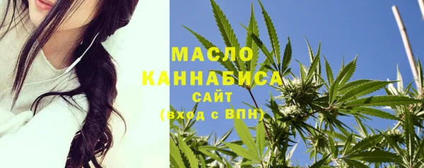 амф Верхний Тагил