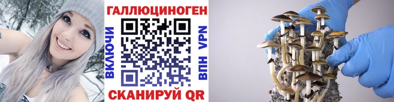 наркотики  Нефтекамск  Галлюциногенные грибы Magic Shrooms 